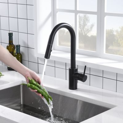 Image showing  Euro Modern Single-Handle Pull-Down Sprayer Kitchen Faucet with Accessories in Rust and Spot Resist in Matte Black