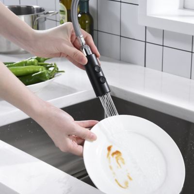 Image showing  Euro Modern Single-Handle Pull-Down Sprayer Kitchen Faucet with Accessories in Rust and Spot Resist in Matte Black