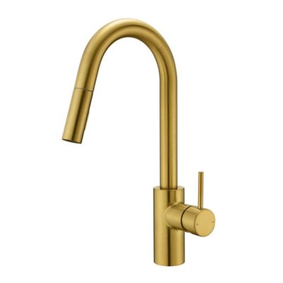 Ultra Faucets Euro Modern Single-Handle Pull-Down Sprayer Kitchen Faucet with Accessories in Rust & Spot Resist in Brushed Gold