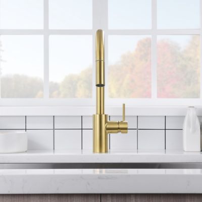 Image showing  Euro Modern Single-Handle Pull-Down Sprayer Kitchen Faucet, Accessories in Rust and Spot Resist in Brushed Gold