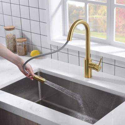 Image showing  Euro Modern Single-Handle Pull-Down Sprayer Kitchen Faucet, Accessories in Rust and Spot Resist in Brushed Gold