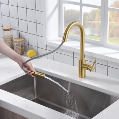 Image showing  Euro Modern Single-Handle Pull-Down Sprayer Kitchen Faucet, Accessories in Rust and Spot Resist in Brushed Gold