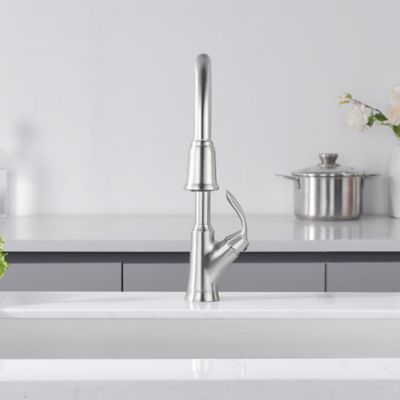 Image showing  Stilleto Single-Handle Pull-Down Sprayer Kitchen Faucet with Accessories in Rust and Spot Resist in Brushed Nickel