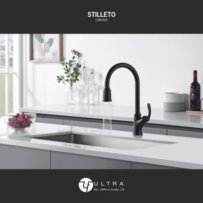 Image showing  Stilleto Single Handle Pull-Down Sprayer Kitchen Faucet with Accessories in Rust and Spot Resist in Matte Black