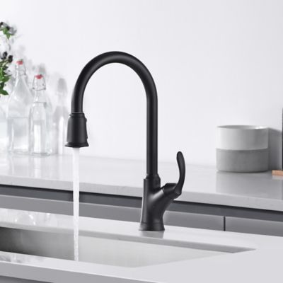 Image showing  Stilleto Single Handle Pull-Down Sprayer Kitchen Faucet with Accessories in Rust and Spot Resist in Matte Black