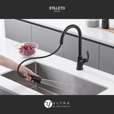 Image showing  Stilleto Single Handle Pull-Down Sprayer Kitchen Faucet with Accessories in Rust and Spot Resist in Matte Black