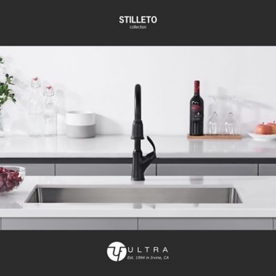 Image showing  Stilleto Single Handle Pull-Down Sprayer Kitchen Faucet with Accessories in Rust and Spot Resist in Matte Black