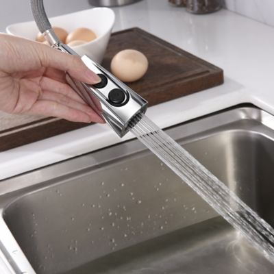 Image showing  Ardua Single-Handle Pull-Down Sprayer Kitchen Faucet with Accessories in Rust and Spot Resist in Polished Chrome