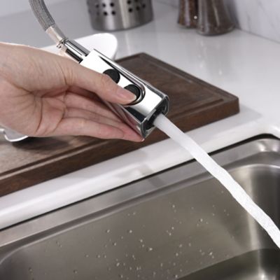 Image showing  Ardua Single-Handle Pull-Down Sprayer Kitchen Faucet with Accessories in Rust and Spot Resist in Polished Chrome