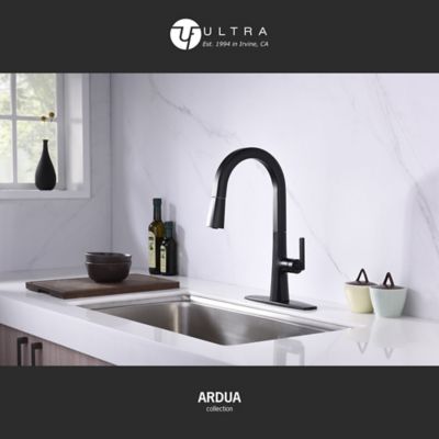 Image showing  Ardua Single-Handle Pull-Down Sprayer Kitchen Faucet with Accessories in Rust and Spot Resist in Matte Black
