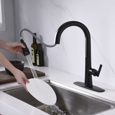 Image showing  Ardua Single-Handle Pull-Down Sprayer Kitchen Faucet with Accessories in Rust and Spot Resist in Matte Black
