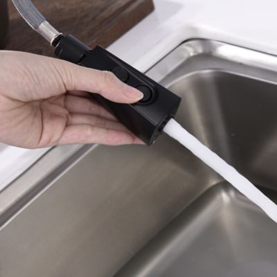 Image showing  Ardua Single-Handle Pull-Down Sprayer Kitchen Faucet with Accessories in Rust and Spot Resist in Matte Black