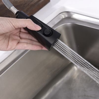 Image showing  Ardua Single-Handle Pull-Down Sprayer Kitchen Faucet with Accessories in Rust and Spot Resist in Matte Black