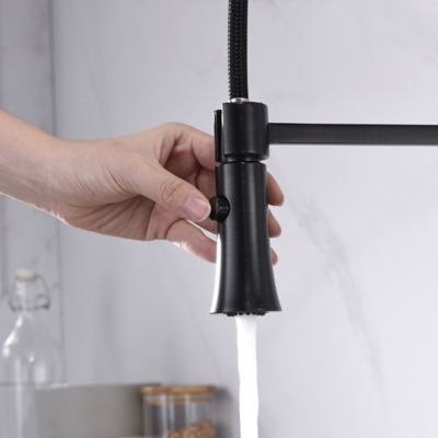 Image showing  Euro Spring Spout Single-Handle Pull-Down Sprayer Kitchen Faucet, Accessory Rust & Spot Resist Oil Rubbed Bronze