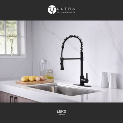 Image showing  Euro Spring Spout Single-Handle Pull-Down Sprayer Kitchen Faucet, Accessories Rust and Spot Resist in Matte Black