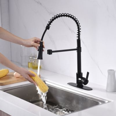 Image showing  Euro Spring Spout Single-Handle Pull-Down Sprayer Kitchen Faucet, Accessories Rust and Spot Resist in Matte Black