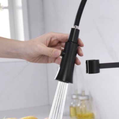 Image showing  Euro Spring Spout Single-Handle Pull-Down Sprayer Kitchen Faucet, Accessories Rust and Spot Resist in Matte Black