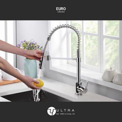Image showing  Euro Spring Single Handle Pull-Down Sprayer Kitchen Faucet, Accessories Rust and Spot Resist in Polished Chrome