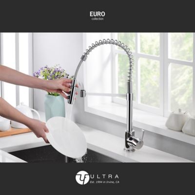 Image showing  Euro Spring Single Handle Pull-Down Sprayer Kitchen Faucet, Accessories Rust and Spot Resist in Polished Chrome