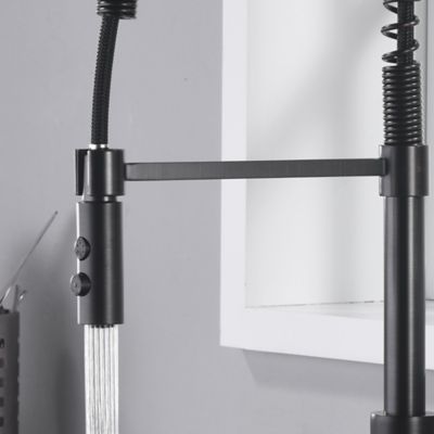 Image showing  Euro Spring Single-Handle Pull-Down Sprayer Kitchen Faucet w/Accessories Rust and Spot Resist in Oil Rubbed Bronze