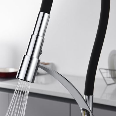 Image showing  Pagani Single-Handle Pull-Down Sprayer Kitchen Faucet with Accessories in Rust and Spot Resist in Polished Chrome