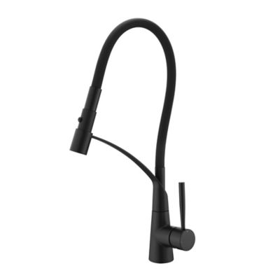 Ultra Faucets Pagani Single-Handle Pull-Down Sprayer Kitchen Faucet with Accessories in Rust and Spot Resist in Matte Black