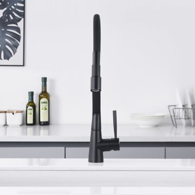 Image showing  Pagani Single-Handle Pull-Down Sprayer Kitchen Faucet with Accessories in Rust and Spot Resist in Matte Black