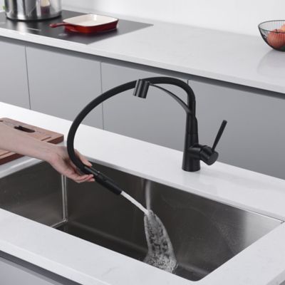 Image showing  Pagani Single-Handle Pull-Down Sprayer Kitchen Faucet with Accessories in Rust and Spot Resist in Matte Black
