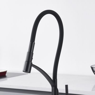 Image showing  Pagani Single-Handle Pull-Down Sprayer Kitchen Faucet with Accessories in Rust and Spot Resist in Matte Black