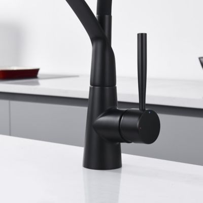 Image showing  Pagani Single-Handle Pull-Down Sprayer Kitchen Faucet with Accessories in Rust and Spot Resist in Matte Black