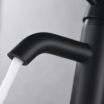 Image showing  Euro Single Hole Single-Handle Bathroom Faucet Rust Resist in Matte Black