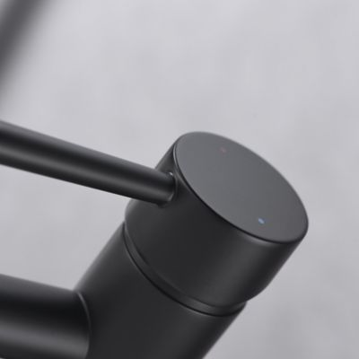 Image showing  Euro Single Hole Single-Handle Bathroom Faucet Rust Resist in Matte Black