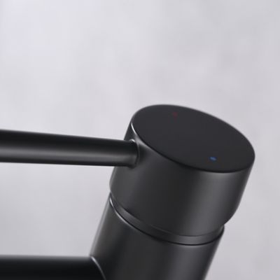 Image showing  Euro Single Hole Single-Handle Tall Vessel Bathroom Sink Faucet Rust Resist in Matte Black