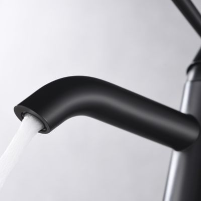 Image showing  Euro Single Hole Single-Handle Tall Vessel Bathroom Sink Faucet Rust Resist in Matte Black