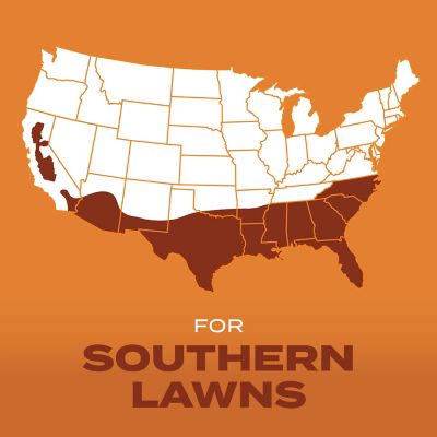 Image showing  4 lb. 1,330 sq. ft. Turf Builder Grass Seed Bermudagrass