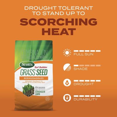 Image showing 6 th Scotts 4 lb. 1,330 sq. ft. Turf Builder Grass Seed Bermudagrass