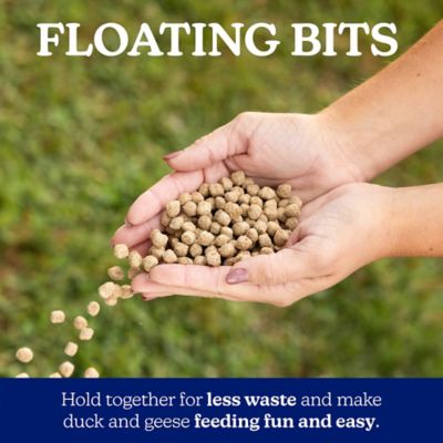 Image showing 5 th Nutrena NatureWise Nourishing 18% Protein Floating Waterfowl Feed, 30 lb. Bag