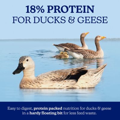 Image showing 7 th Nutrena NatureWise Nourishing 18% Protein Floating Waterfowl Feed, 30 lb. Bag