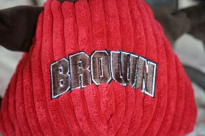Image showing  NCAA Brown University - Bruno the Bear Knottie Plush Dog Toy, Small