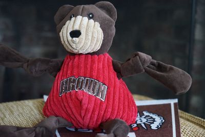 Image showing  NCAA Brown University - Bruno the Bear Knottie Plush Dog Toy, Small