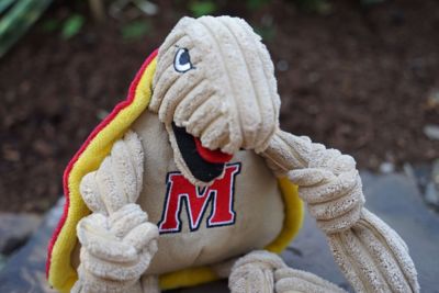Image showing  NCAA University of Maryland - Testudo the Terrapin Knottie Plush Dog Toy, Small