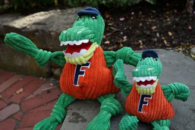Image showing  NCAA University of Florida - Albert Gator Knottie Plush Dog Toy Plush Dog Toy, Large