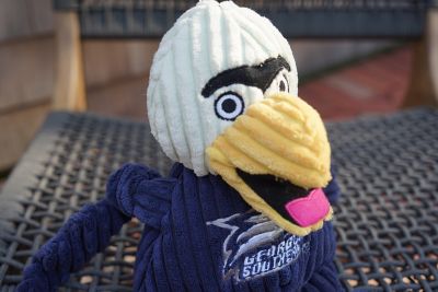 Image showing  NCAA Georgia Southern University - Gus the Eagle Knottie Plush Dog Toy, Large