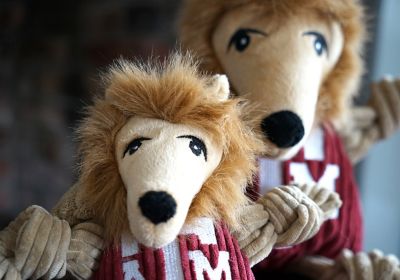 Image showing  NCAA Texas A&M - Reveille Knottie Plush Dog Toy, Small