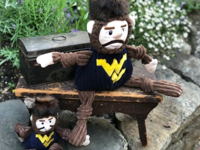 Image showing  NCAA West Virginia University - Mountaineer Knottie Plush Dog Toy, Large
