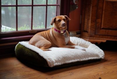 Image showing 5 th Hugglehounds Scout Perfect Bolster Dog Bed