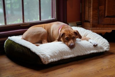 Image showing 6 th Hugglehounds Scout Perfect Bolster Dog Bed
