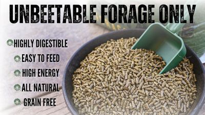 Image showing  Blend Pellet Forage, 50 lb.