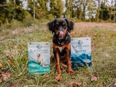 Image showing  Coastal Catch Sensitive Skin and Stomach All Life Stages Grain-Free Herring Recipe Dry Dog Food, 25 lb. Bag