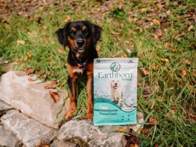 Image showing  Coastal Catch Sensitive Skin and Stomach All Life Stages Grain-Free Herring Recipe Dry Dog Food, 25 lb. Bag